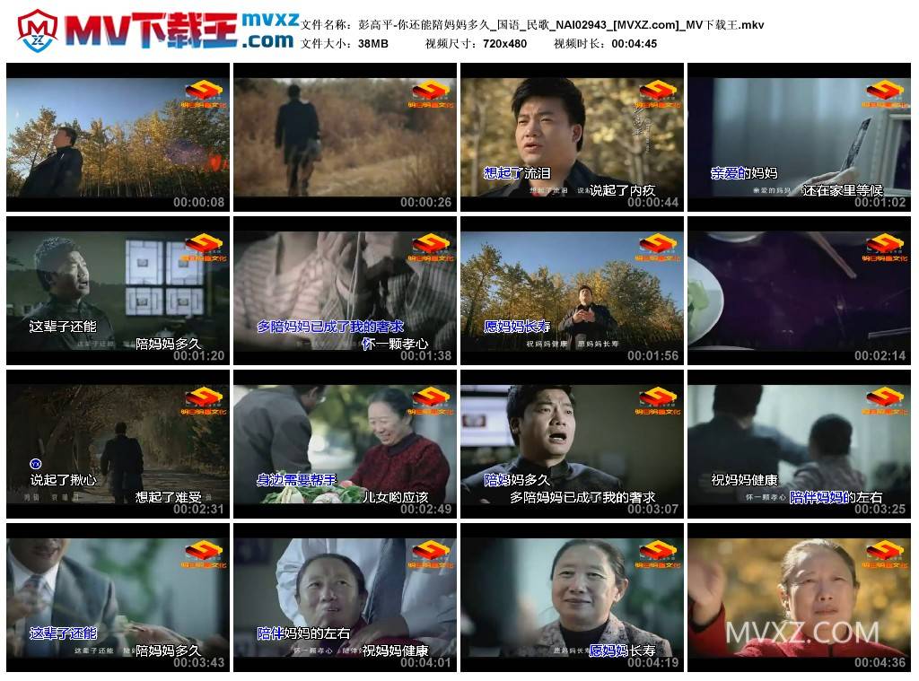 彭高平-你还能陪妈妈多久_国语_民歌_NAI02943